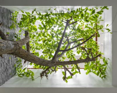 Nhà phố thiết kế mở - Nhà Đẹp Sài Gòn