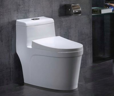 Có nên dùng nước sôi thông bồn cầu? - Nhà Đẹp Sài Gòn