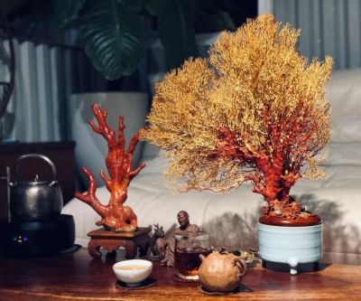 Những lưu ý khi trưng bày vật phẩm phong thủy trong nhà - Nhà Đẹp Sài Gòn