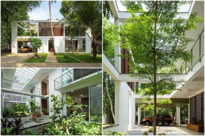Thiết kế biệt thự nhà vườn đẹp tại Ấn Độ