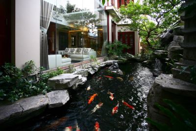 Gợi ý thiết kế hồ cá Koi đẹp, ai nhìn cũng mê - Nhà Đẹp Sài Gòn