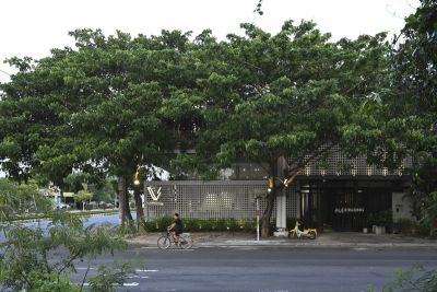 Nhà phố thiết kế như ruộng bậc thang Tây Bắc - Nhà Đẹp Sài Gòn