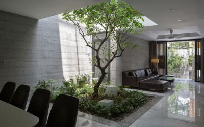 Nhà ống đẹp phá cách trong thành phố