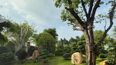 Nở rộ mô hình vườn thiền trong nhà phố - Nhà Đẹp Sài Gòn