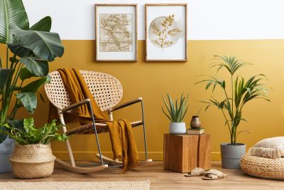 Sơn nhà màu vàng đất - Lựa chọn hoàn hảo cho gia chủ mệnh Thổ - Nhà Đẹp Sài Gòn