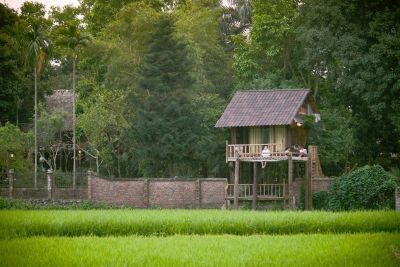 Nhà vườn 10.000 m² dùng toàn nội thất tái chế - Nhà Đẹp Sài Gòn